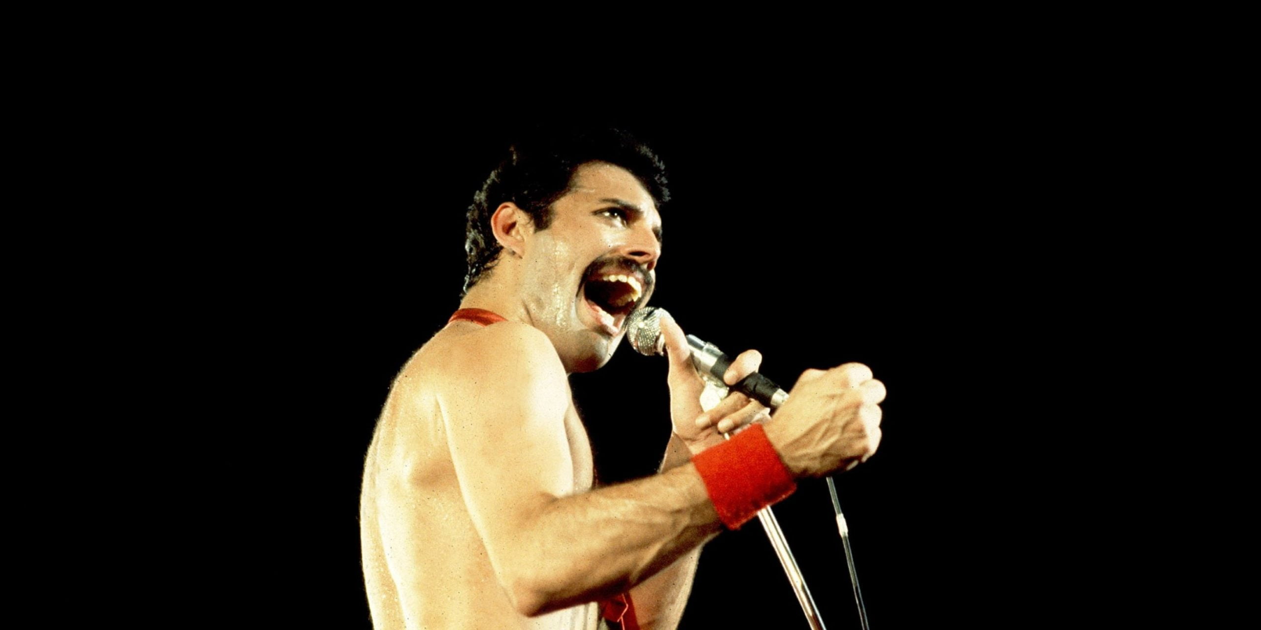 Видео меркури. Горец и Фредди Меркури. Freddie Mercury Лучано Паваротти. Голиаф Фредди Меркьюри. Фредди Меркури шашлычник.